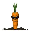 [Linked Image]